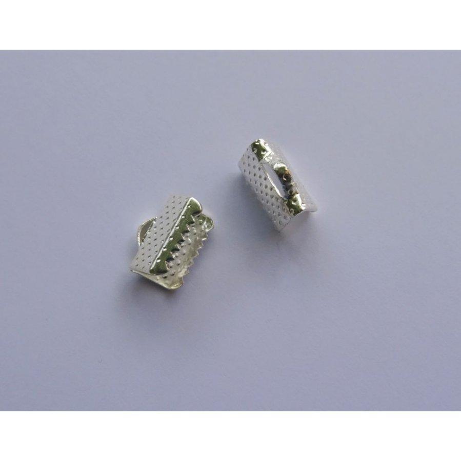 Spetsar för fastspänning silver 10 mm x 2