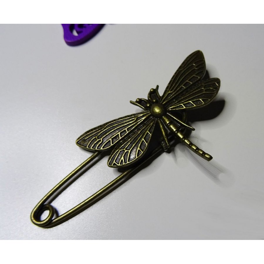 Antik brons drakfluga pin