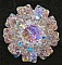 Kit bague Giraglia Lilas Blanc