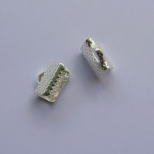 Spetsar för fastspänning silver 10 mm x 2